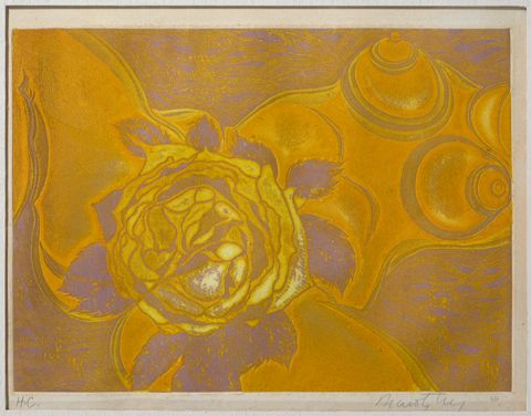 Naixement i mort de Venus