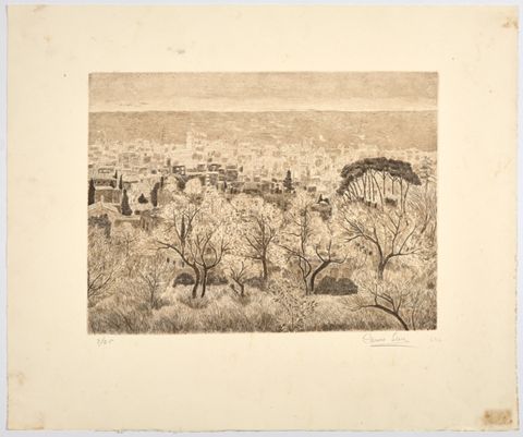 Barcelona vista al mar