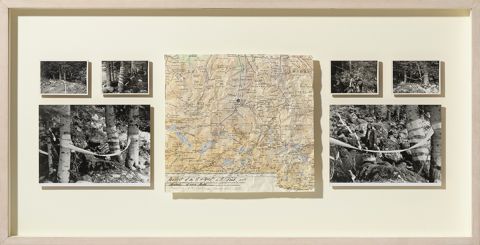 Transformació d\'un paisatge